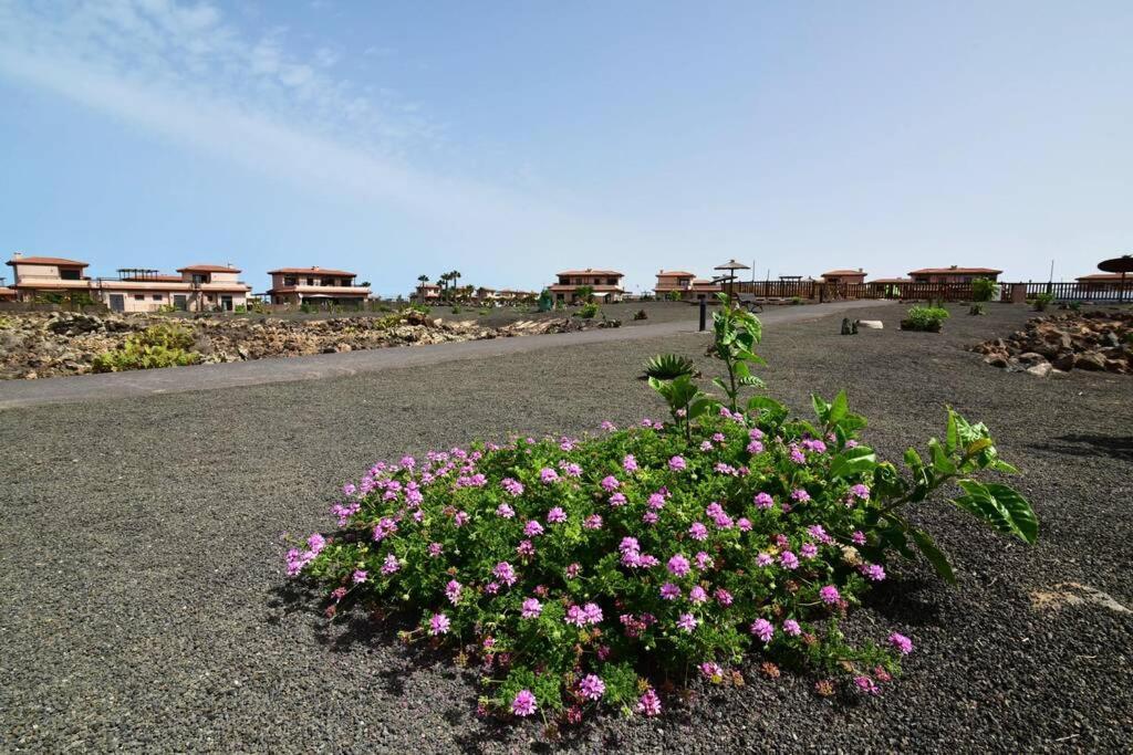 Casa Platanera!! Villa Lajares Exterior photo